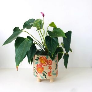 Floral Plant Pot
